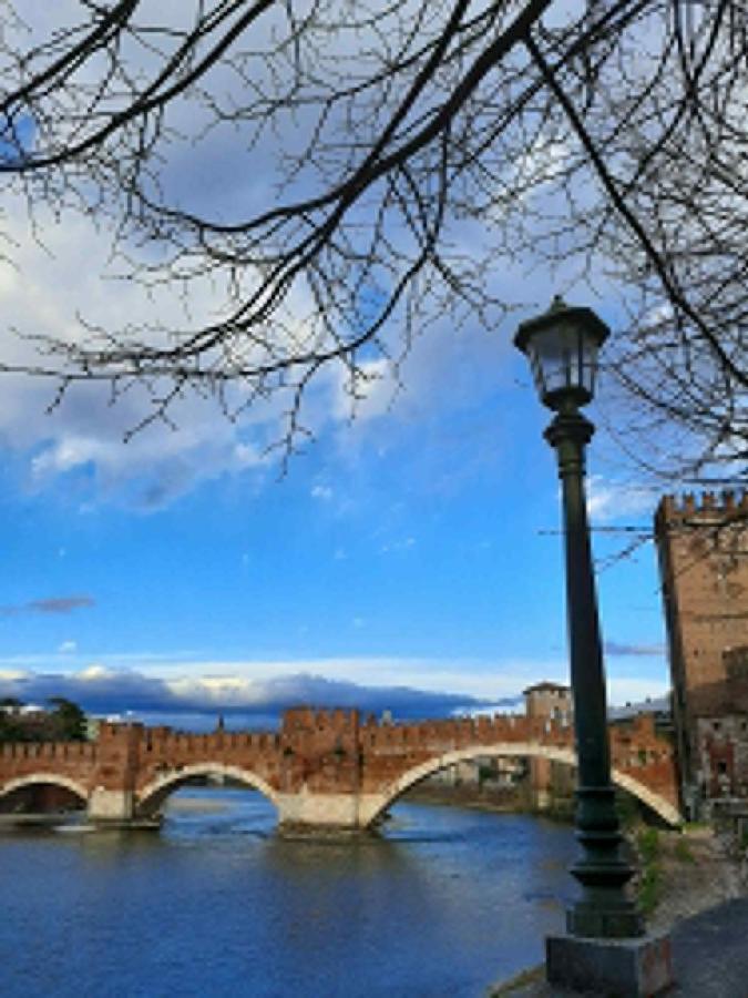 Villa Sul Lago Con Pontile Privato A Brenzone Sul Garda - Unique And Exclusive 외부 사진